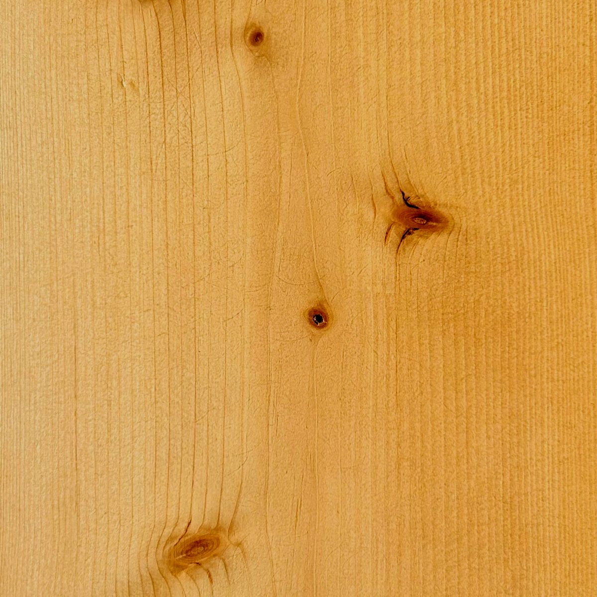Mathy by Bols Dominique Virginie Montessori Floor Bed in Honey Stain