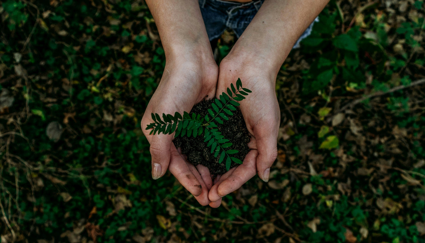 For Every Order, We Plant Five Trees